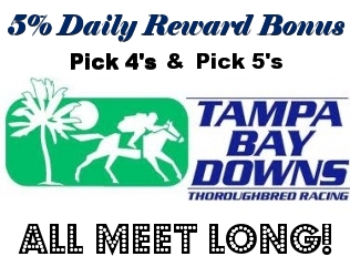 Tampa Downs Bonus