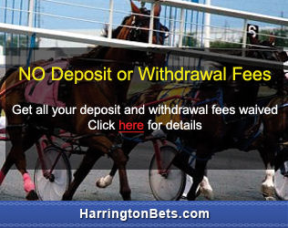 Harrington Bets