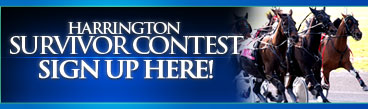 Survivor Contest